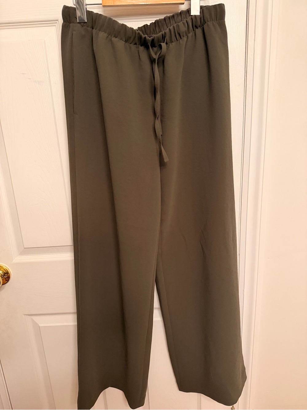 Aritzia Wide-Leg Drawstring Pants in Olive